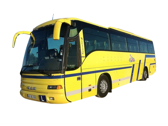 Transporte Coletivo de Crianças